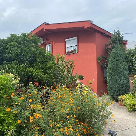 Nestorovic Apartman Bar Kültér fotó